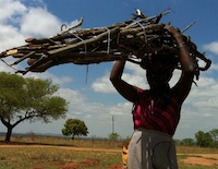 african woman carrying wood on her head